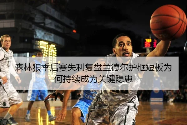 森林狼季后赛失利复盘兰德尔护框短板为何持续成为关键隐患